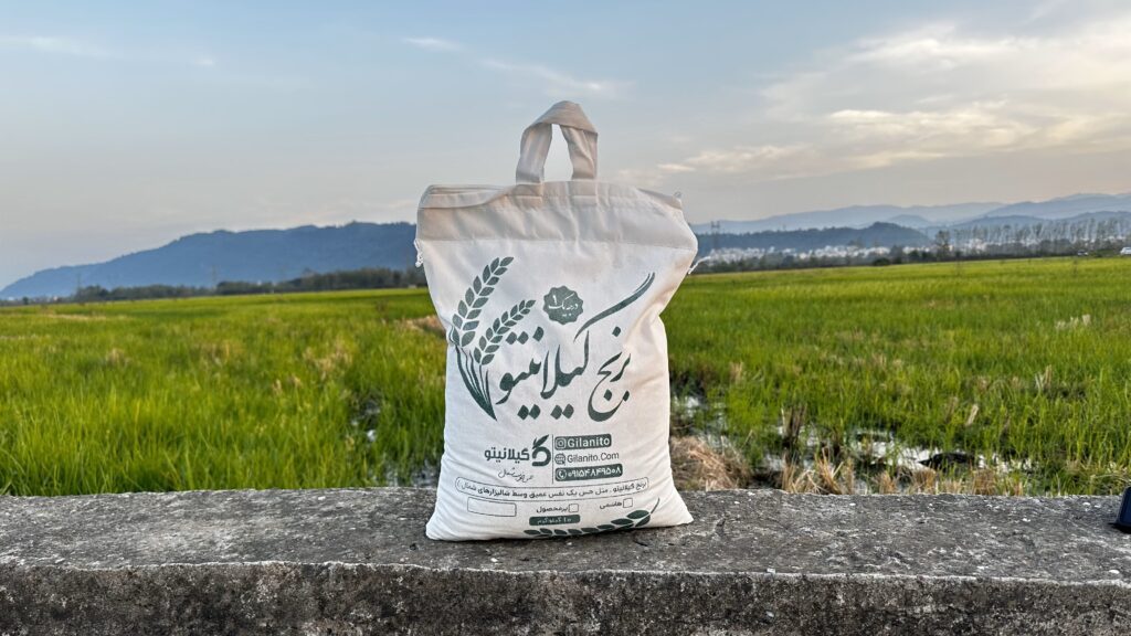 خرید برنج ایرانی از گیلانیتو از دل شالیزارهای گیلان