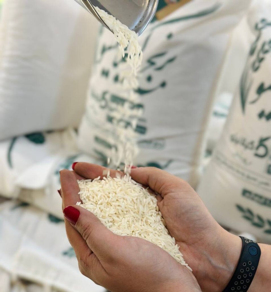 عکس برنج ایرانی با کیفیت در گیلانیتو
